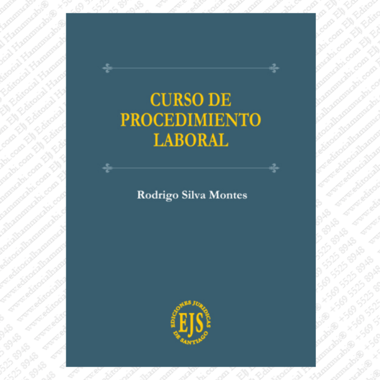 Curso De Procedimiento Laboral Editorial Hammurabi 